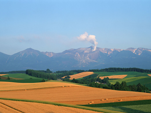 38367 (a): :1600x1200